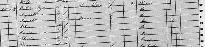 Friedrich Wilhelm ("William") Feige - 1860 U.S. Census
