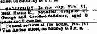 Harriet E "Hattie" SALISBURY - Fri, Feb 3, 1882 - Harriet Salisbury death notice