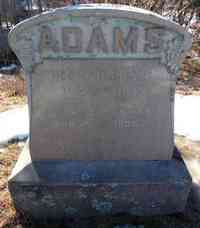 Sarah Eliza HASKINS - Grave