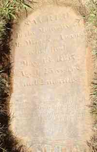 William ADAMS - Grave