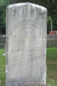 Joseph Graves ADDIS - Grave