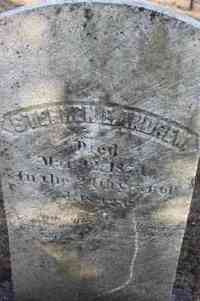 Stephen E. ANDREW - Grave