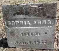 Sophia ARMS - Grave