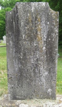 Mercy Adelaide AVERY - Grave
