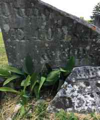 Henry Ruggles BEERS - Grave