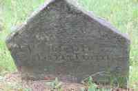 Joseph BINGHAM - Grave