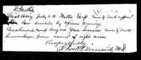 Celia Ann "Mattie" BLAYLOCK - Coroners Report