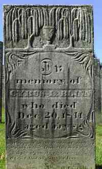 Cyrus Lee BLINN - Grave