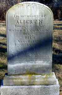 Albert Nelson BRIGGS - Grave