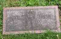 Carleton Waite BRUSH - Grave