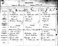 Louis-Toussaint CAILLE dit LECLAIR - Death