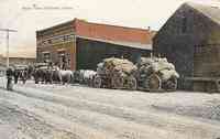 Caldwell, Idaho, USA - Caldwell, Idaho, USA - Wool Team