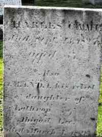 Amanda LEE - Grave
