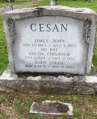 Louisa Edith CHISHOLM - Grave