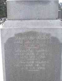 Zelotes CLARK - Grave