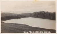Central Somerset, Maine, USA - Central Somerset, Maine, USA - Lily Pond, Concord, Maine
