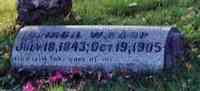 Virgil Walter EARP - Grave