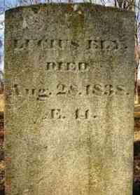 Lucius ELY - Grave