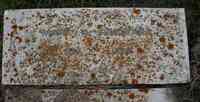 Mary Agnes EVANS - Grave