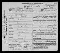 Agnes FABRICIUS - 1908 Death Record Name: Agnes Hoffman Death Date: 27 Jun 1908 Death Place: Medfield,,Massachusetts Gender: Female Race: White Death Age: Estim