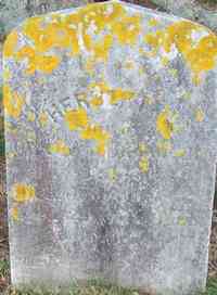 Herbert N. FALES - Grave