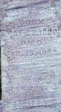 David Cole FISH - Grave
