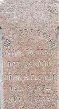 Charles S FLOWER - Grave