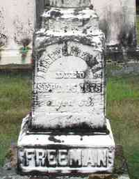 Albert G. FREEMAN - Grave