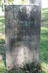 David GALE - Grave