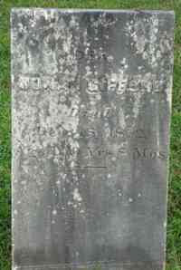 Jonah GIFFORD - Grave
