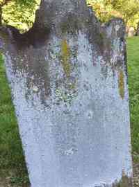 Shubael GORHAM - Grave