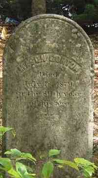 Mason GORTON - Grave