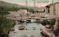 Groton, Vermont, USA - U.S. Trout Stripping Station, Groton, Vt.