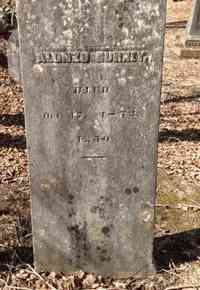 Alonzo Asa GURNEY - Grave