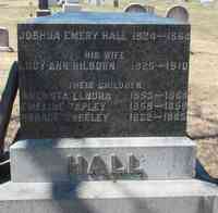 Joshua Emery HALL - Grave