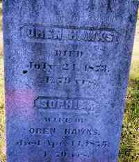 Sophia TAYLOR - Grave