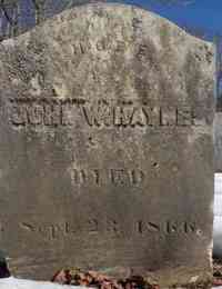 John Woods HAYNES - Grave