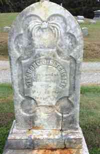 Theodore J. HITCHCOCK - Grave