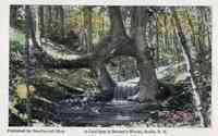 Hollis, New Hampshire, USA - A Cool Spot in Burpee's Woods