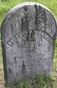 Peleg Warden HOPKINS - Grave