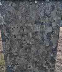 Cromwell HORTON - Grave
