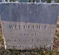 William Frederick HORTON - Grave
