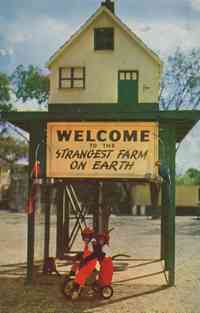 Hudson,  New Hampshire, USA - Benson's Wild Animal Farm, 1950s