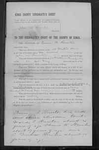 John Wallace HUNTER - Name: John W Hunter Also Known As Name: Event Place: Kings County, New York Event Date: 1895 Schedule Type: Administration of the Goods, Chattels