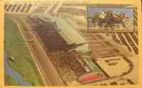 Inglewood, California, USA - Race Track, Hollywood Park