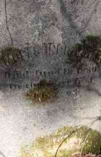 Moses INGRAHAM - Grave