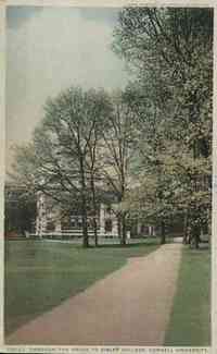 Ithaca, New York, USA - Through the Grove to Sibley College, Cornell University