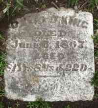 David D. KING - Grave