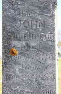 Susannah KISER - Grave