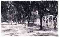 Lady Lake, Florida, USA - Lady Lake, Florida, USA - Public Park
